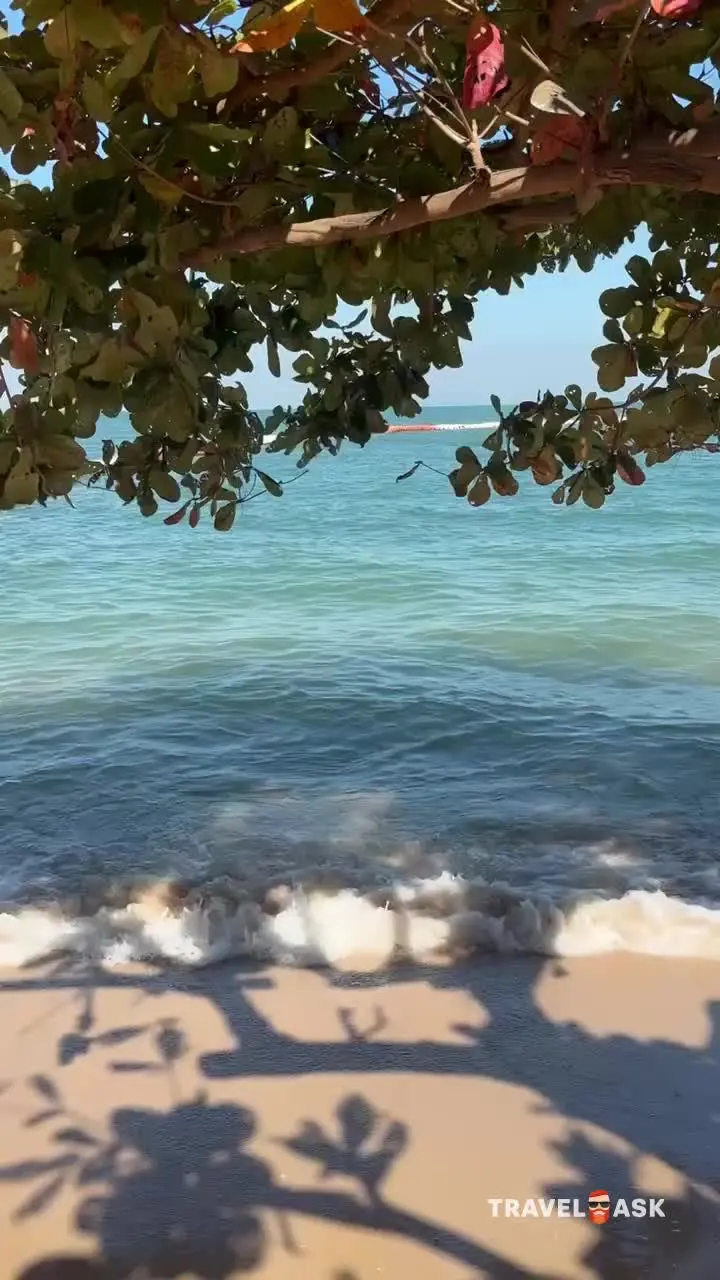 video__preview