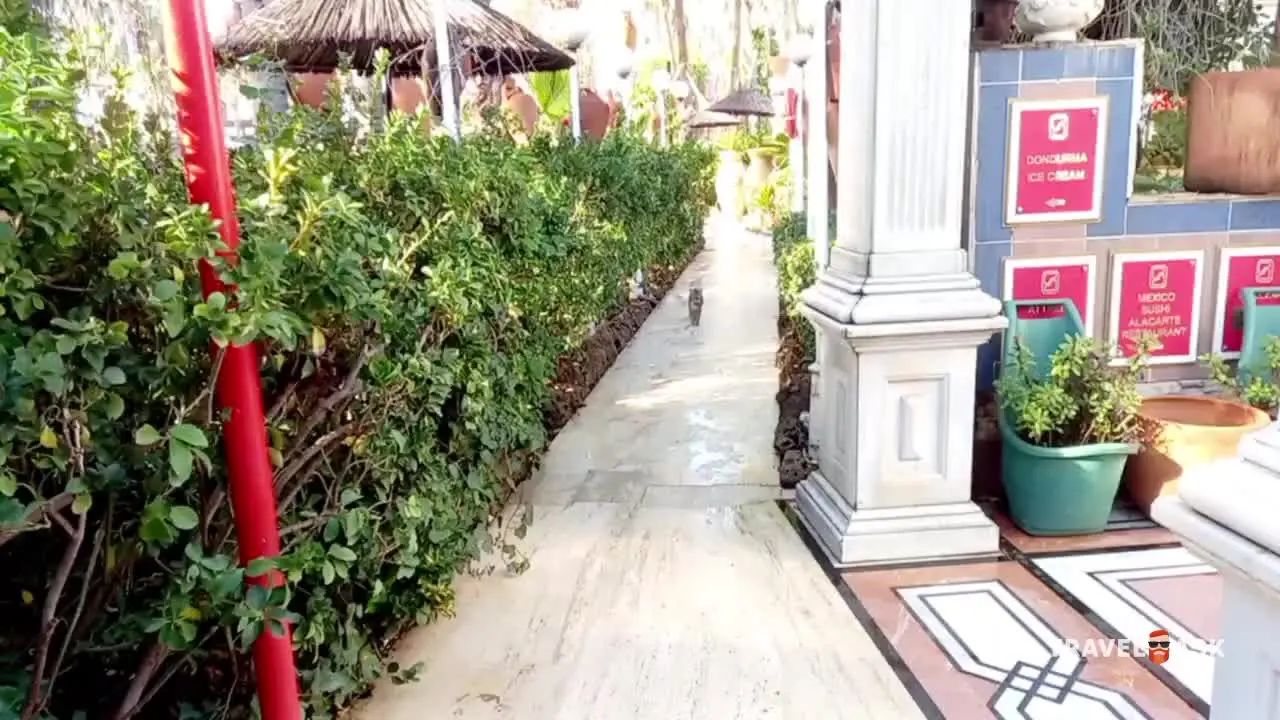 video__preview