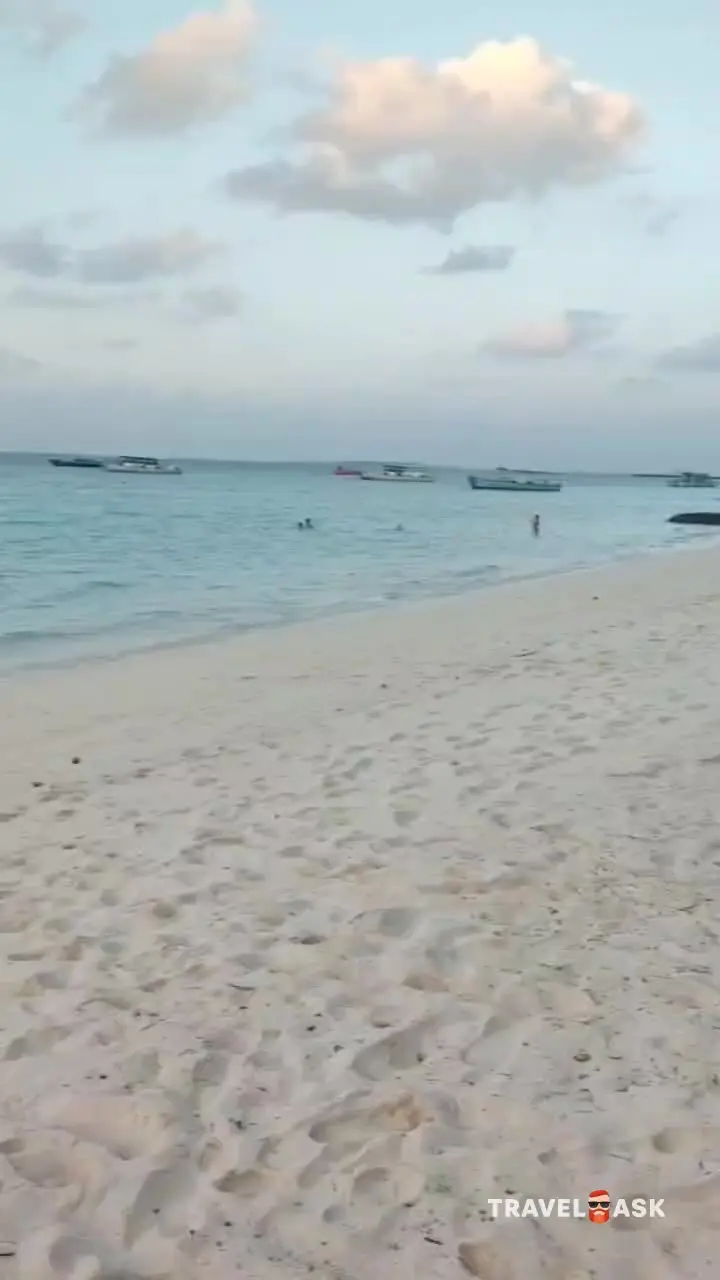 video__preview