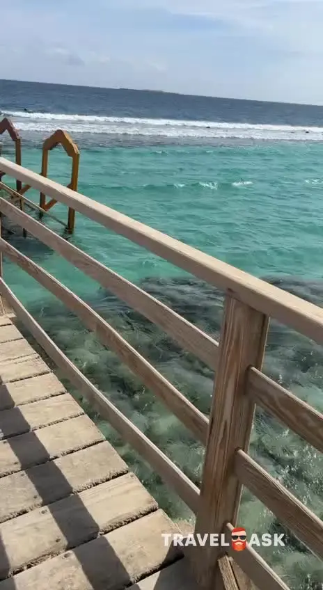 video__preview