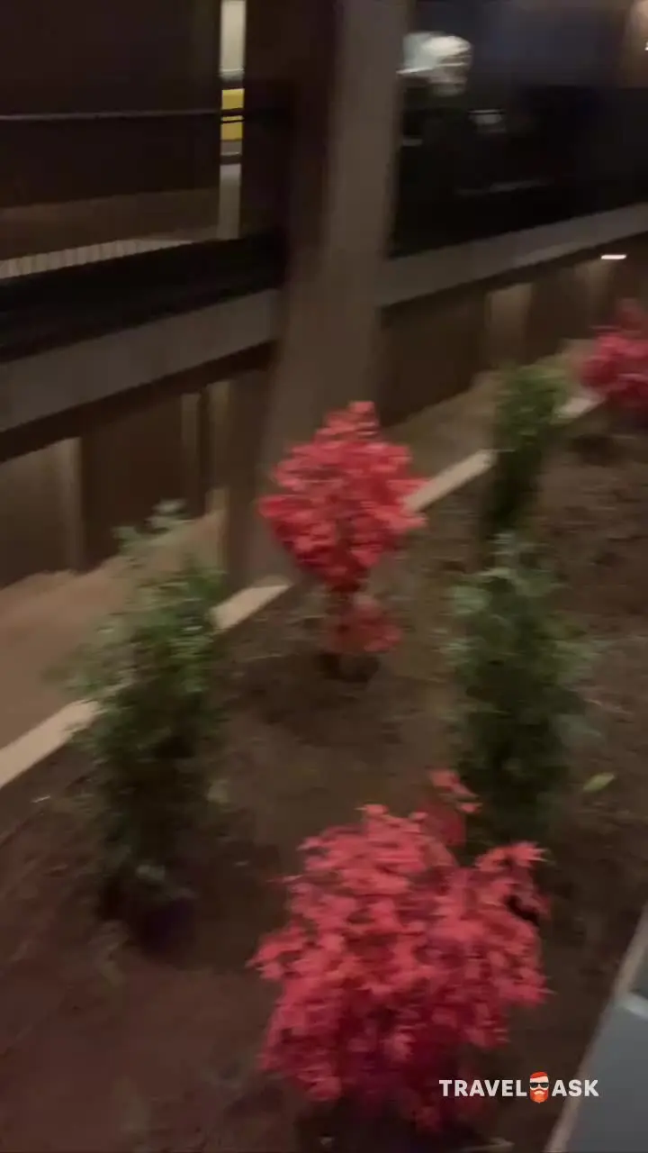 video__preview