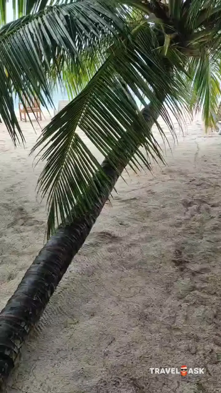 video__preview