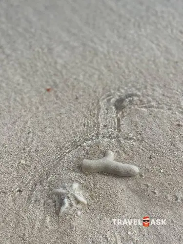 Hotel Mojito (Ex. Iberostar Mojito)