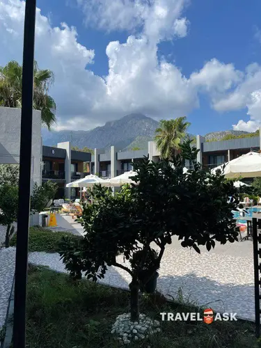 Forest Inn Hotel