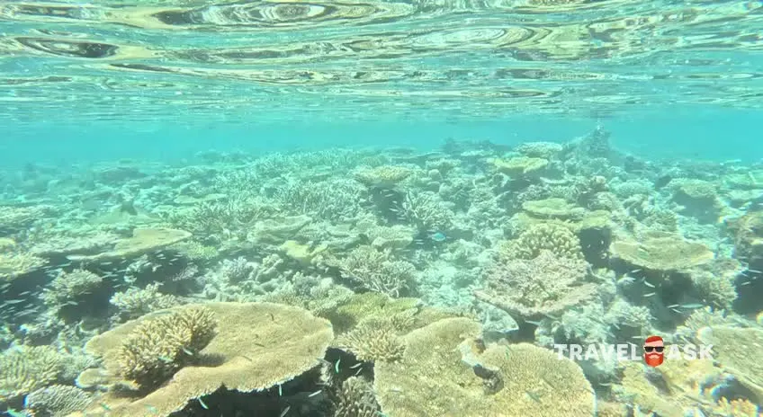 Ayada Maldives