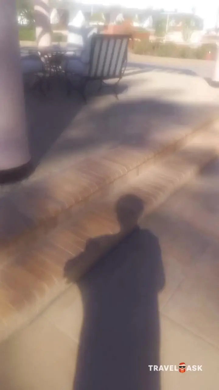 video__preview