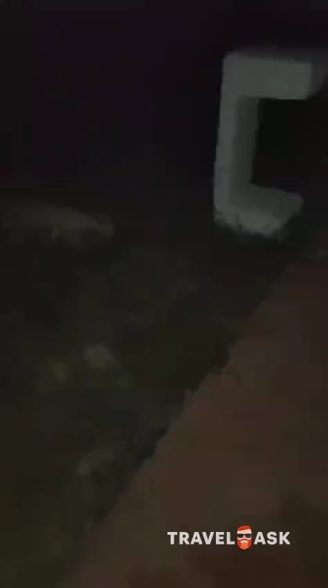 video__preview