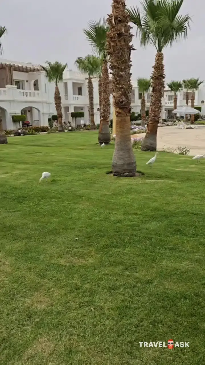 Continental Plaza Beach Resort & Aqua Park