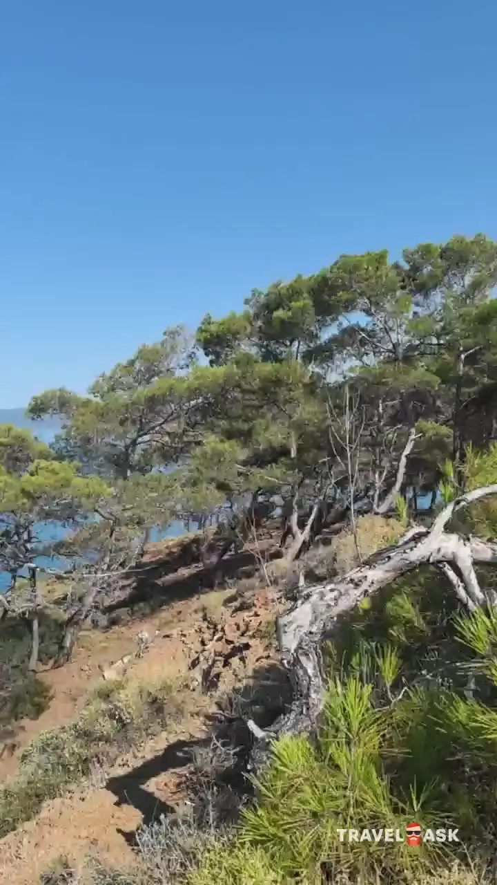 Marvida Family Lykia Botanika Beach (Ex. Otium Family Lykia Botanika Beach)