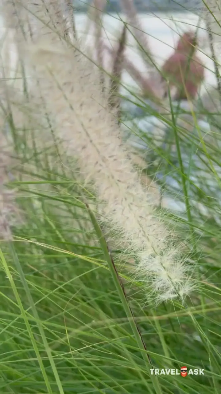 Address Fujairah Beach Resort