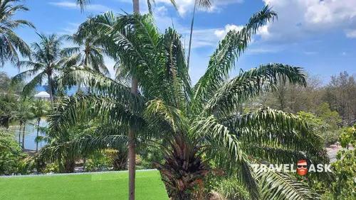 Best Western Phuket Ocean Resort & Spa