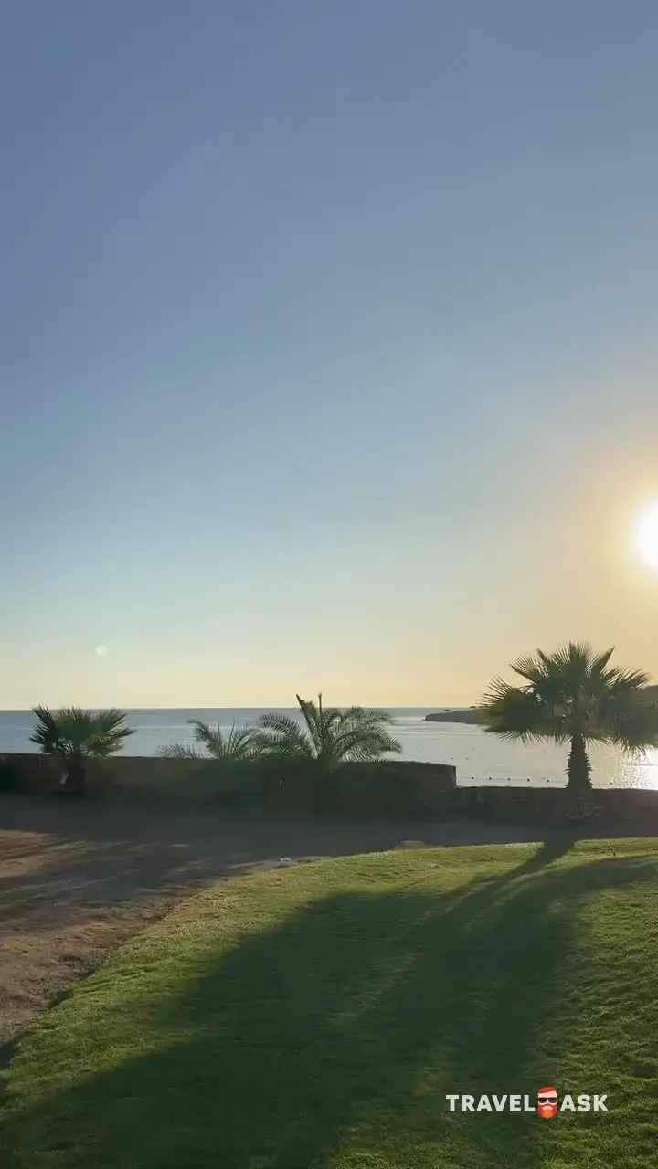 video__preview