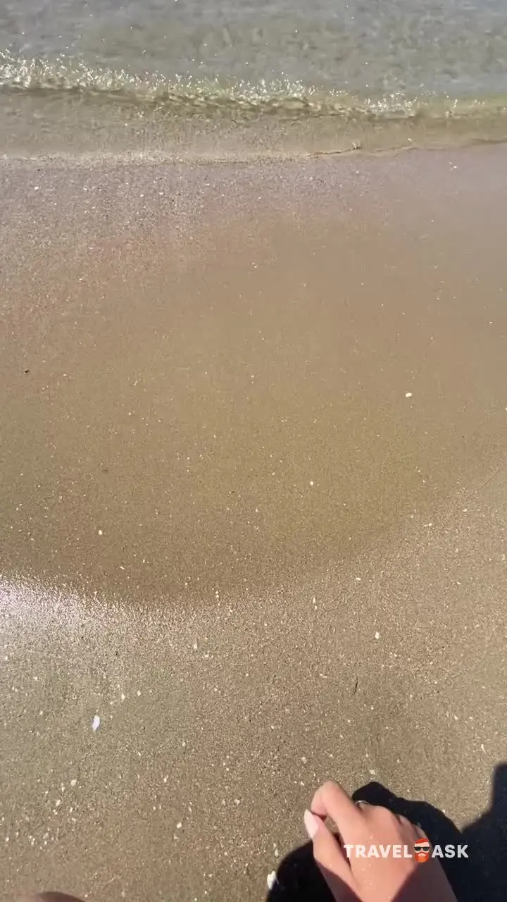 video__preview