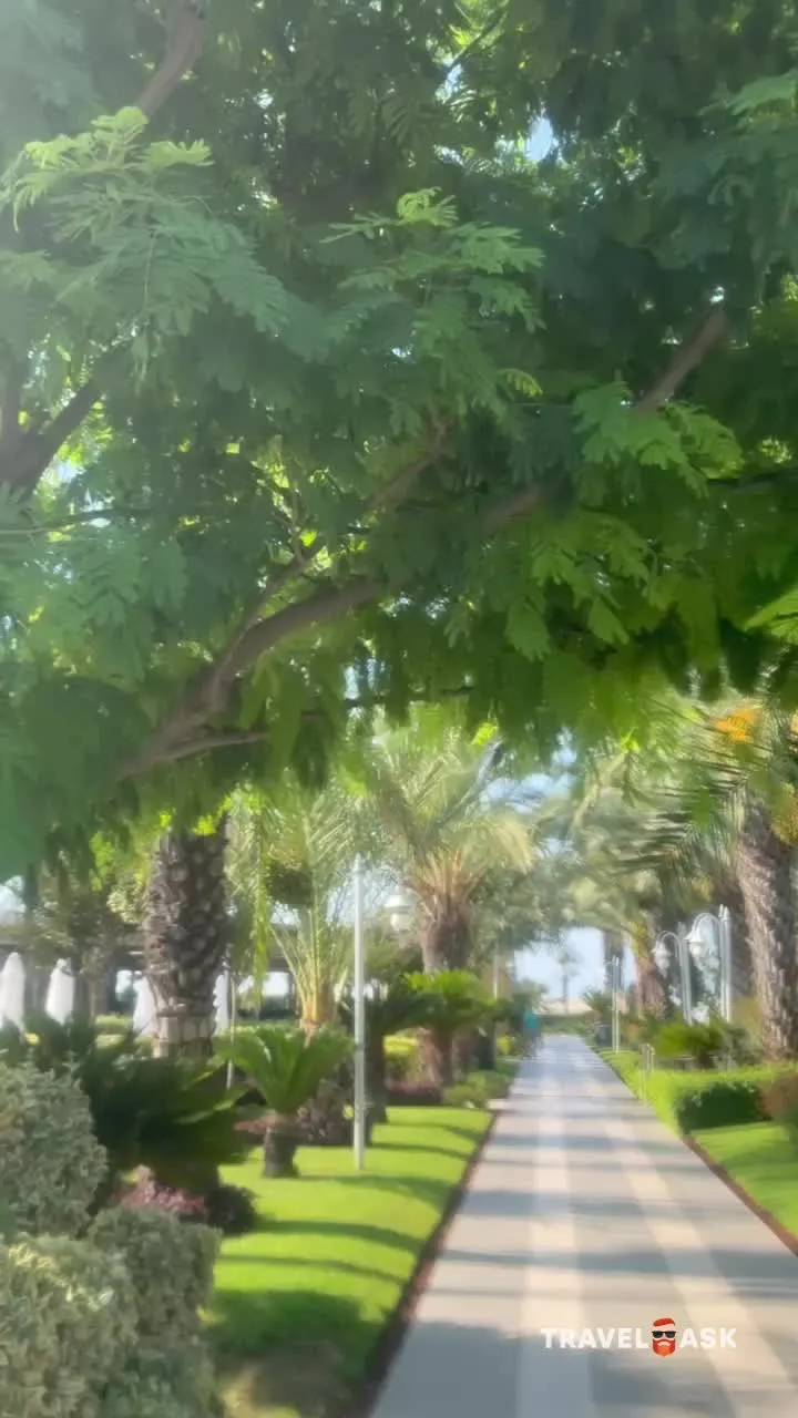 video__preview