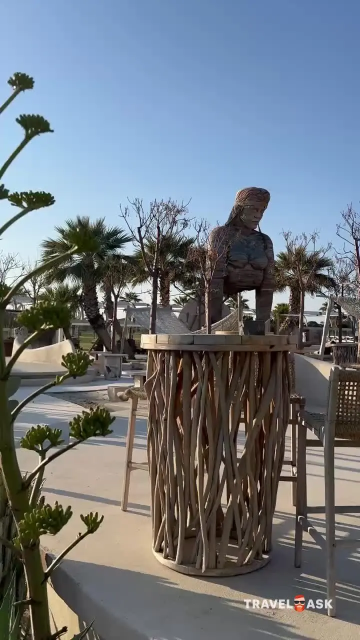 video__preview