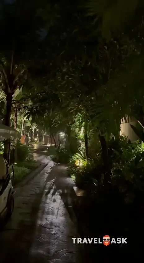 video__preview