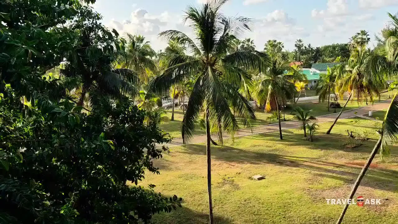 video__preview