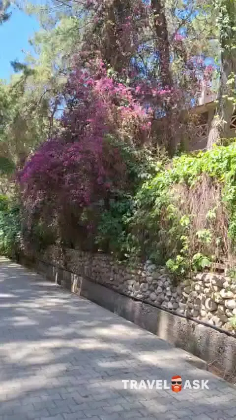 video__preview
