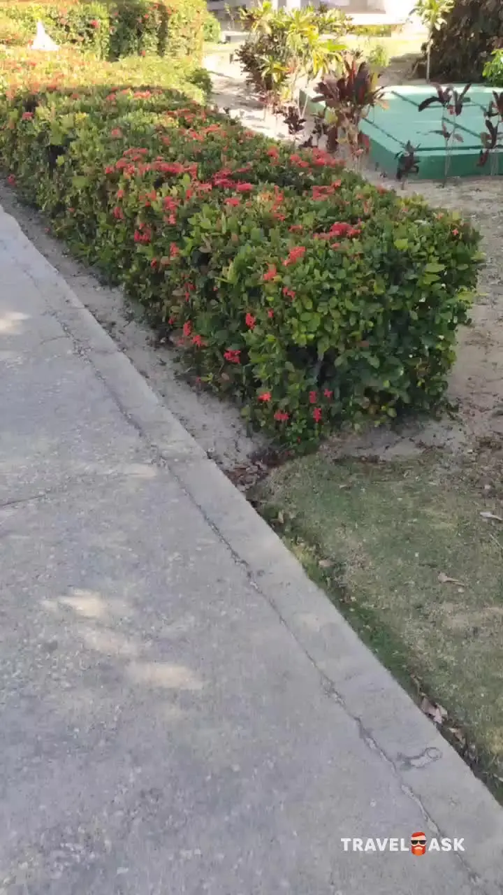video__preview