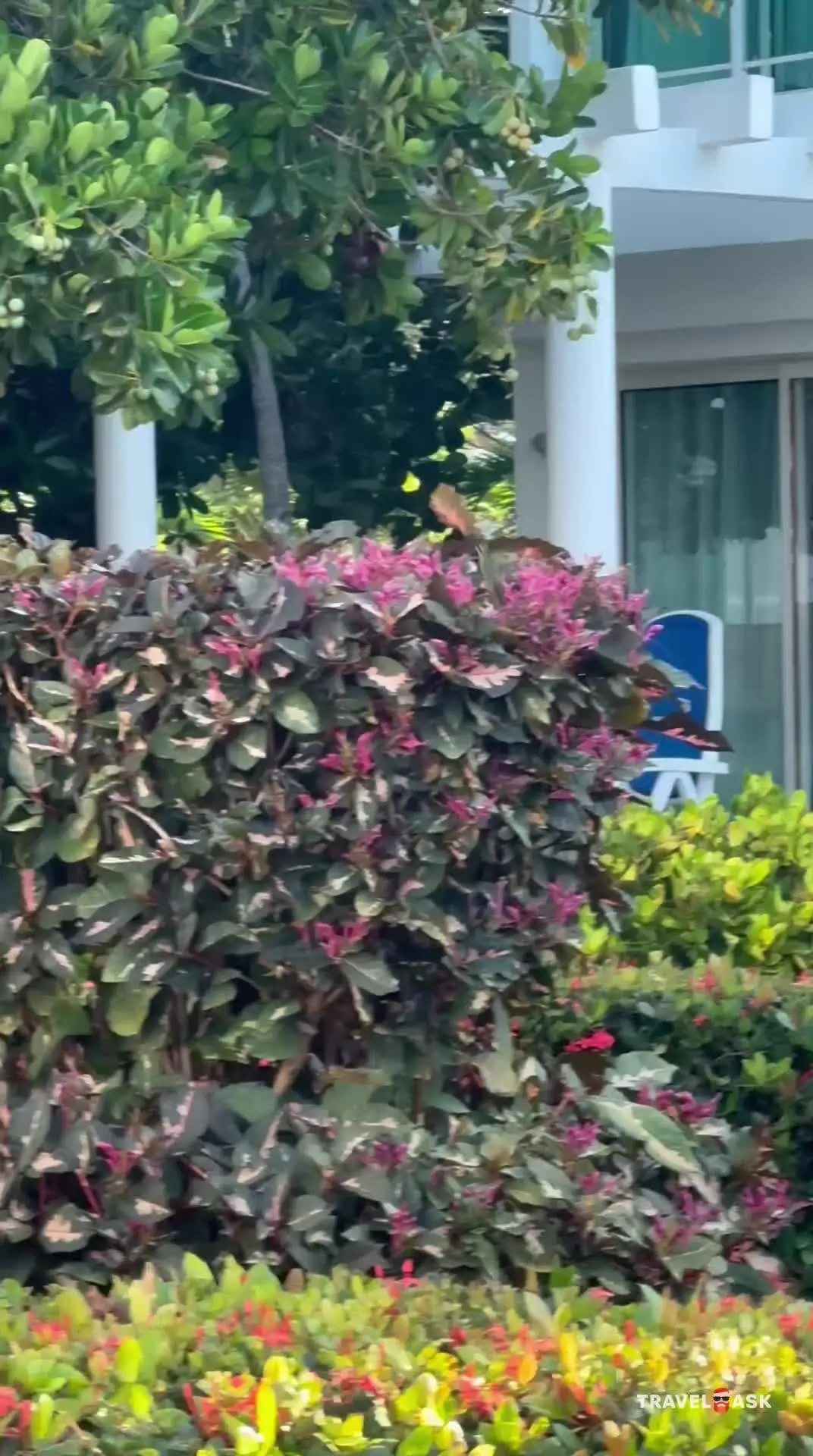 video__preview