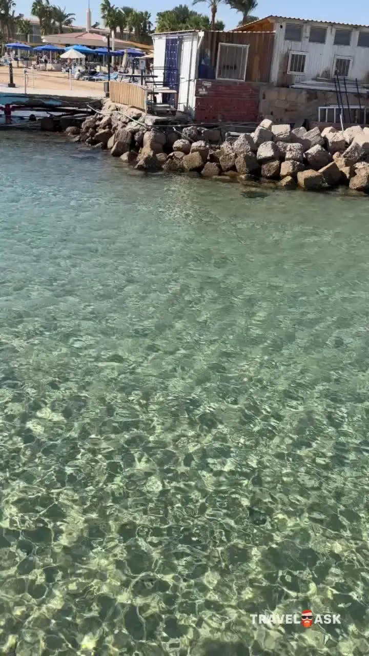 video__preview