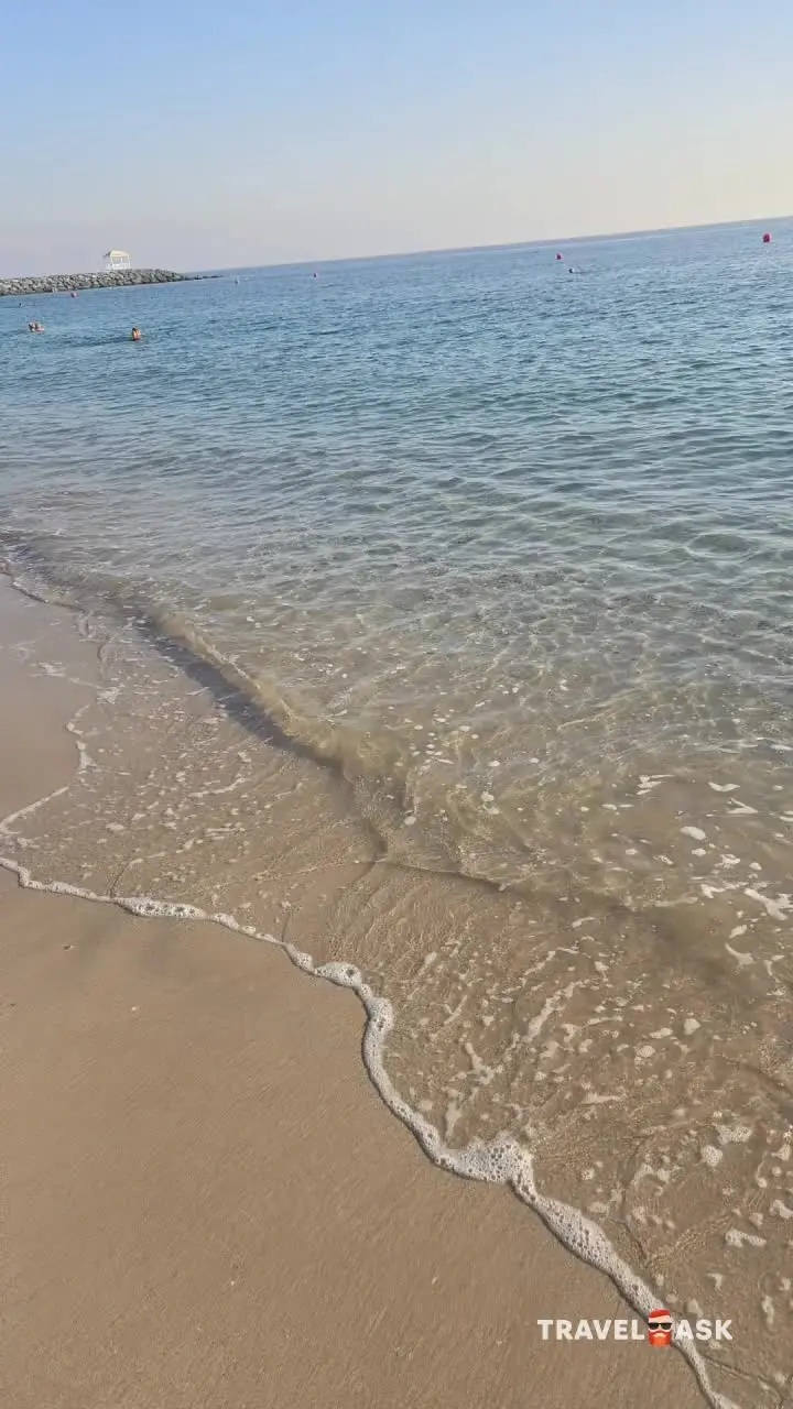 video__preview