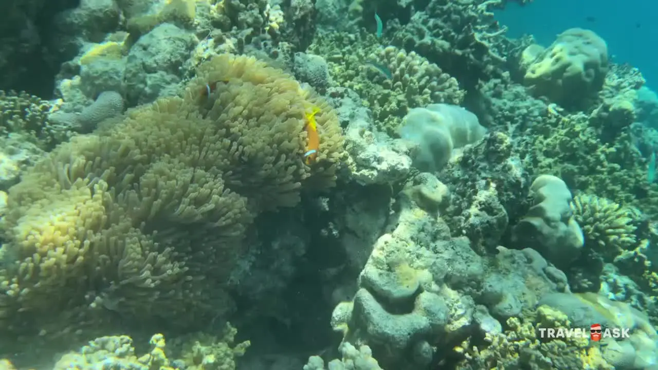 Cora Cora Maldives