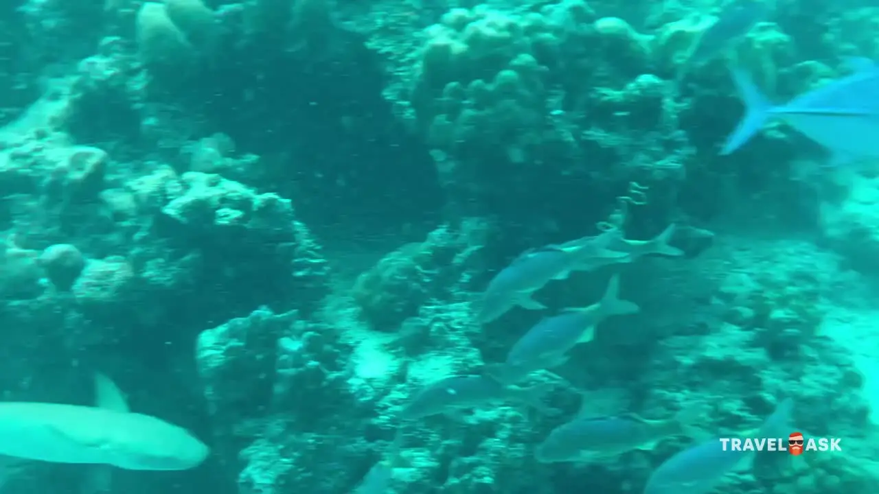 Kudafushi Resort & Spa