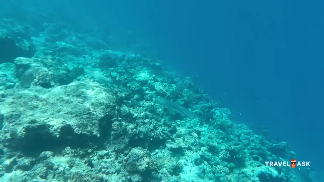 Bandos Maldives (Ex.Bandos Island Resort & Spa)
