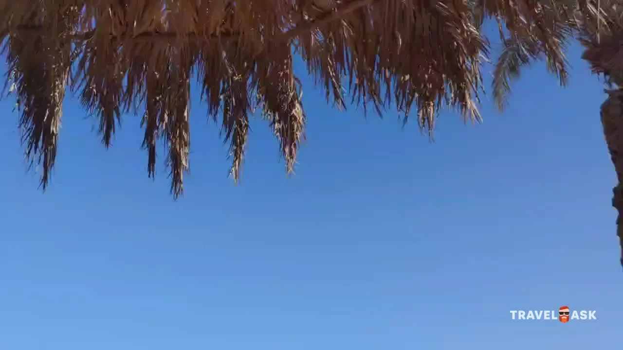 video__preview
