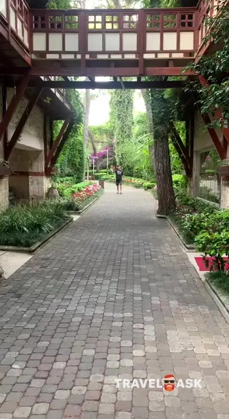 video__preview