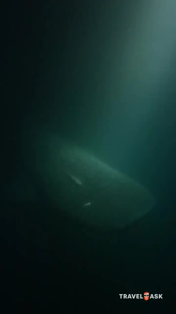 video__preview