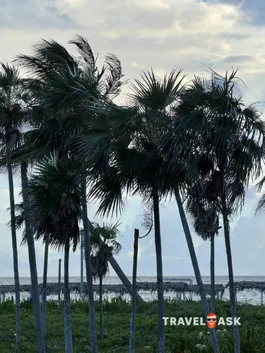 Melia Cayo Coco (Adults Only 18+)