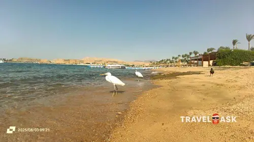 Seti Sharm Resort