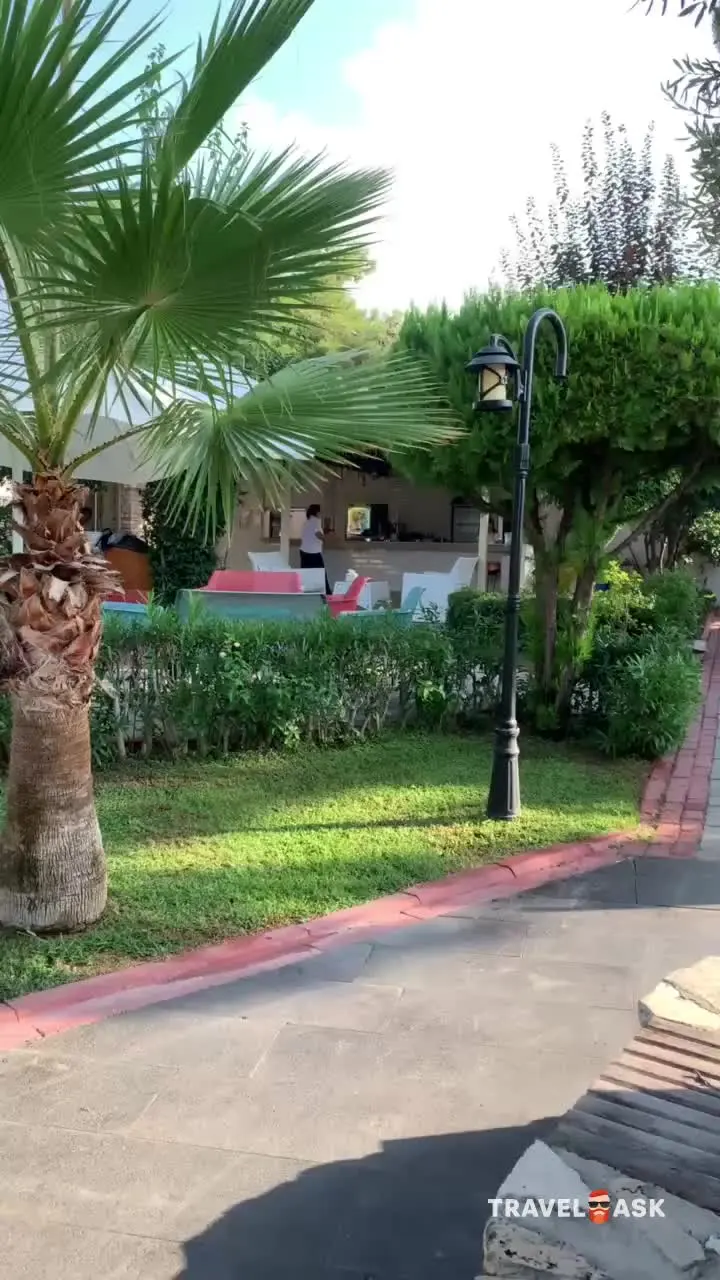 video__preview
