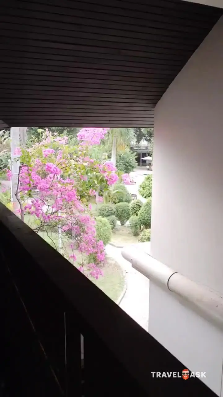 video__preview