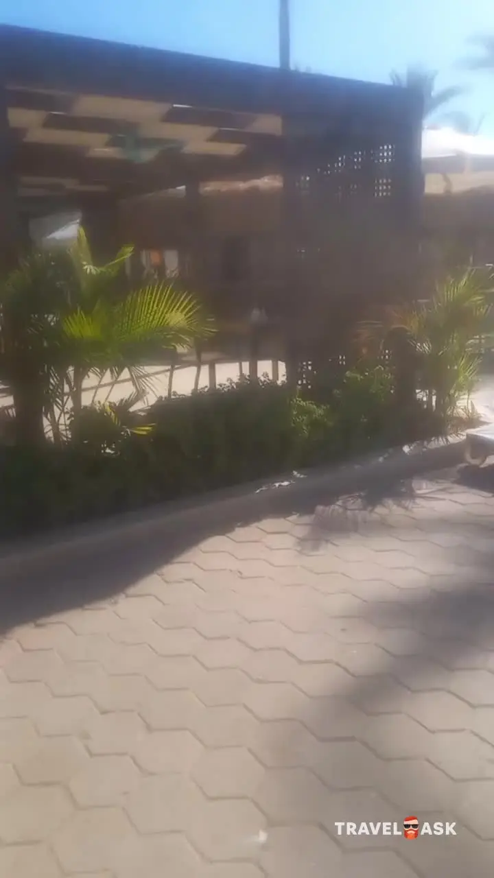 video__preview