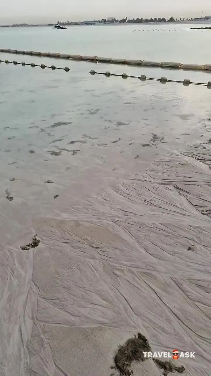 video__preview