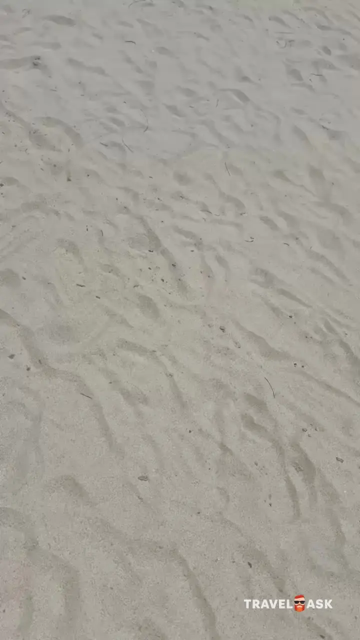 video__preview