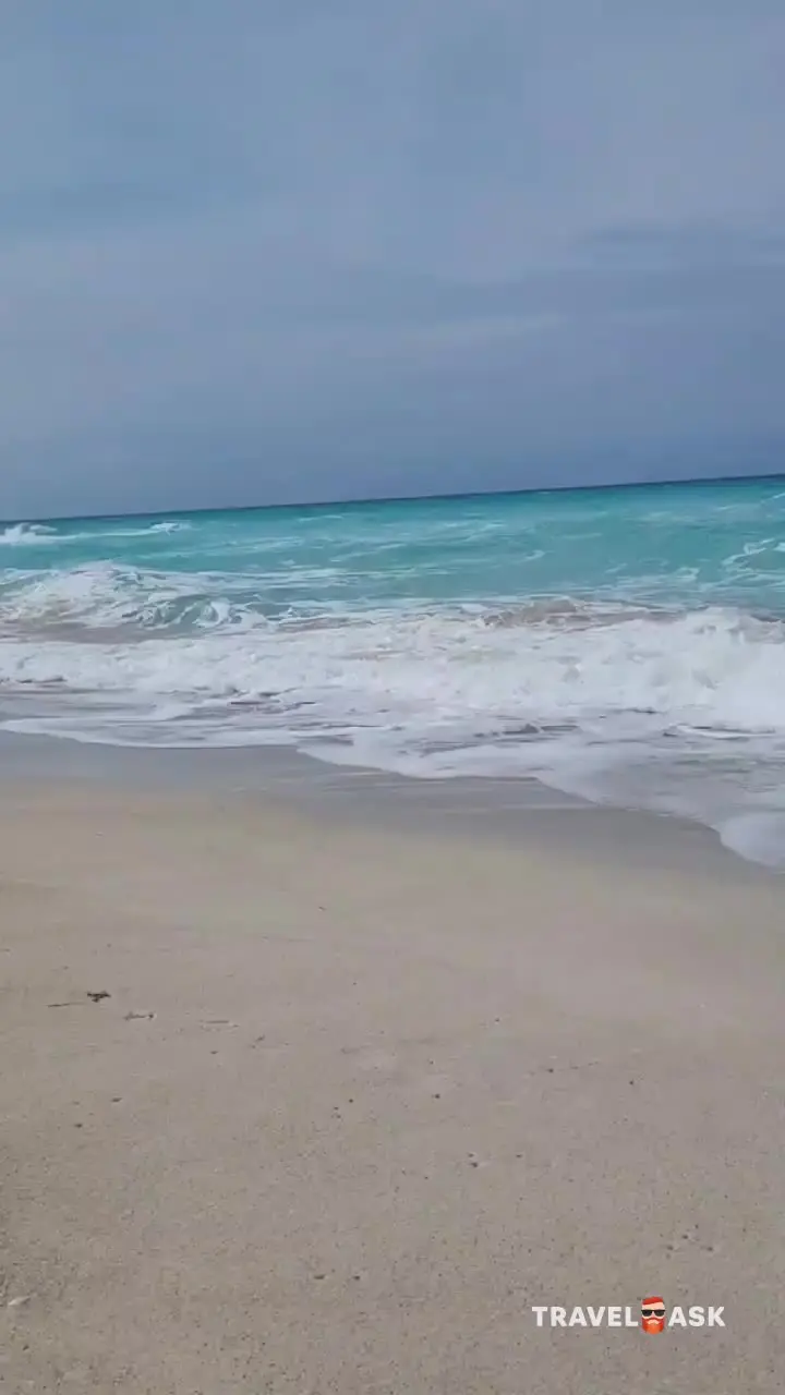 video__preview