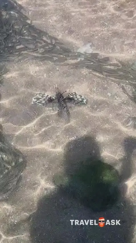 Sharm Holiday Resort