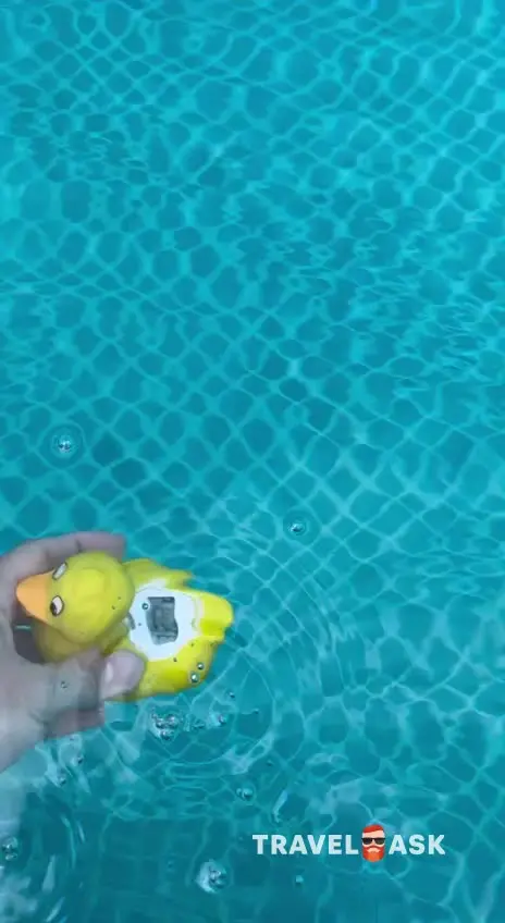 video__preview