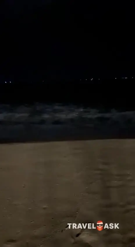 video__preview