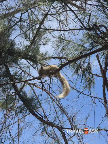 Pattaya Park Beach Resort