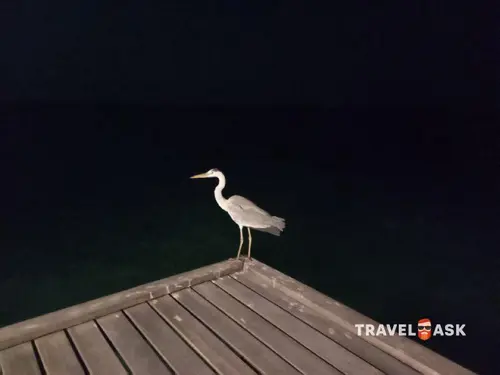 Nakai Maayafushi (Ex.Maayafushi Tourist Resort)