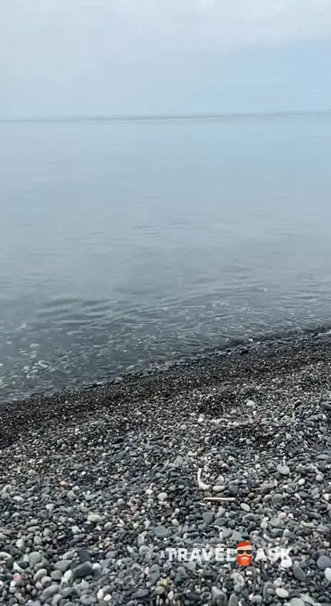 video__preview