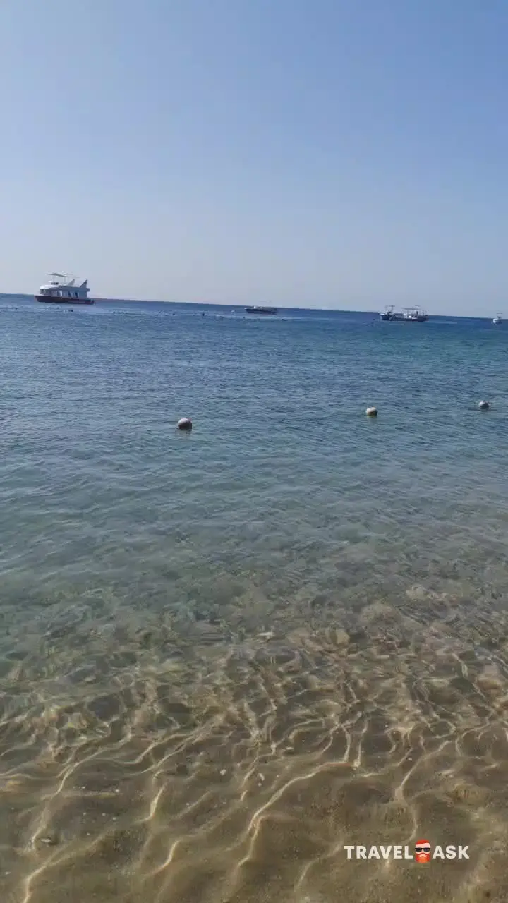 video__preview