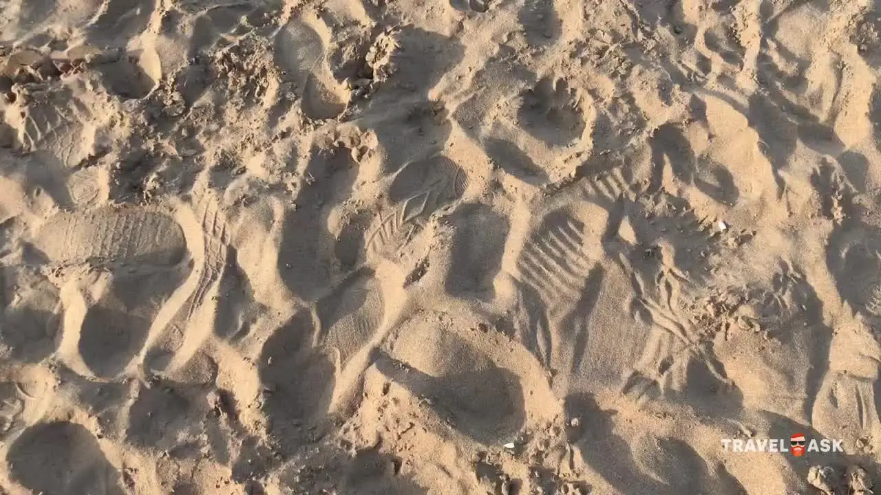 video__preview