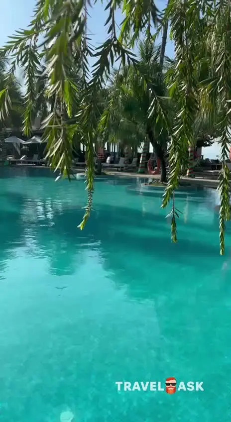 video__preview