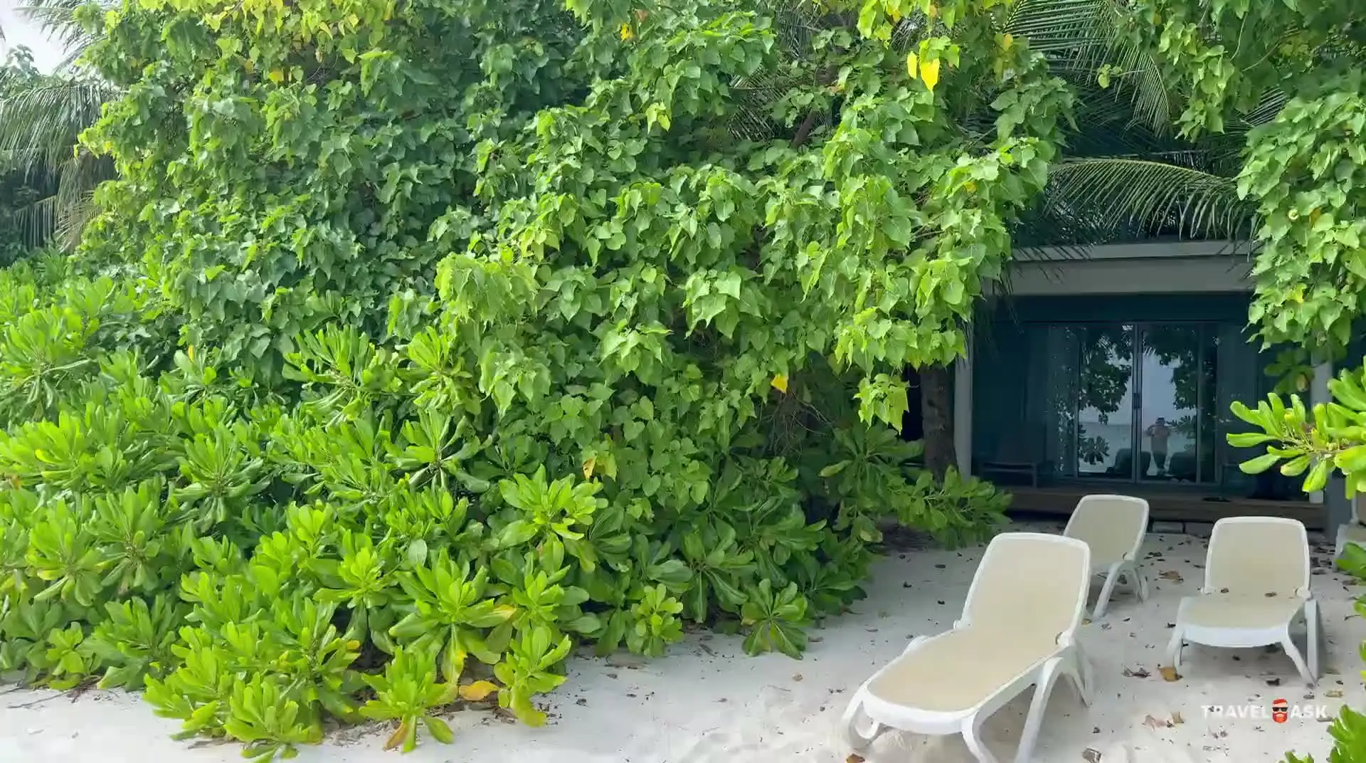 video__preview